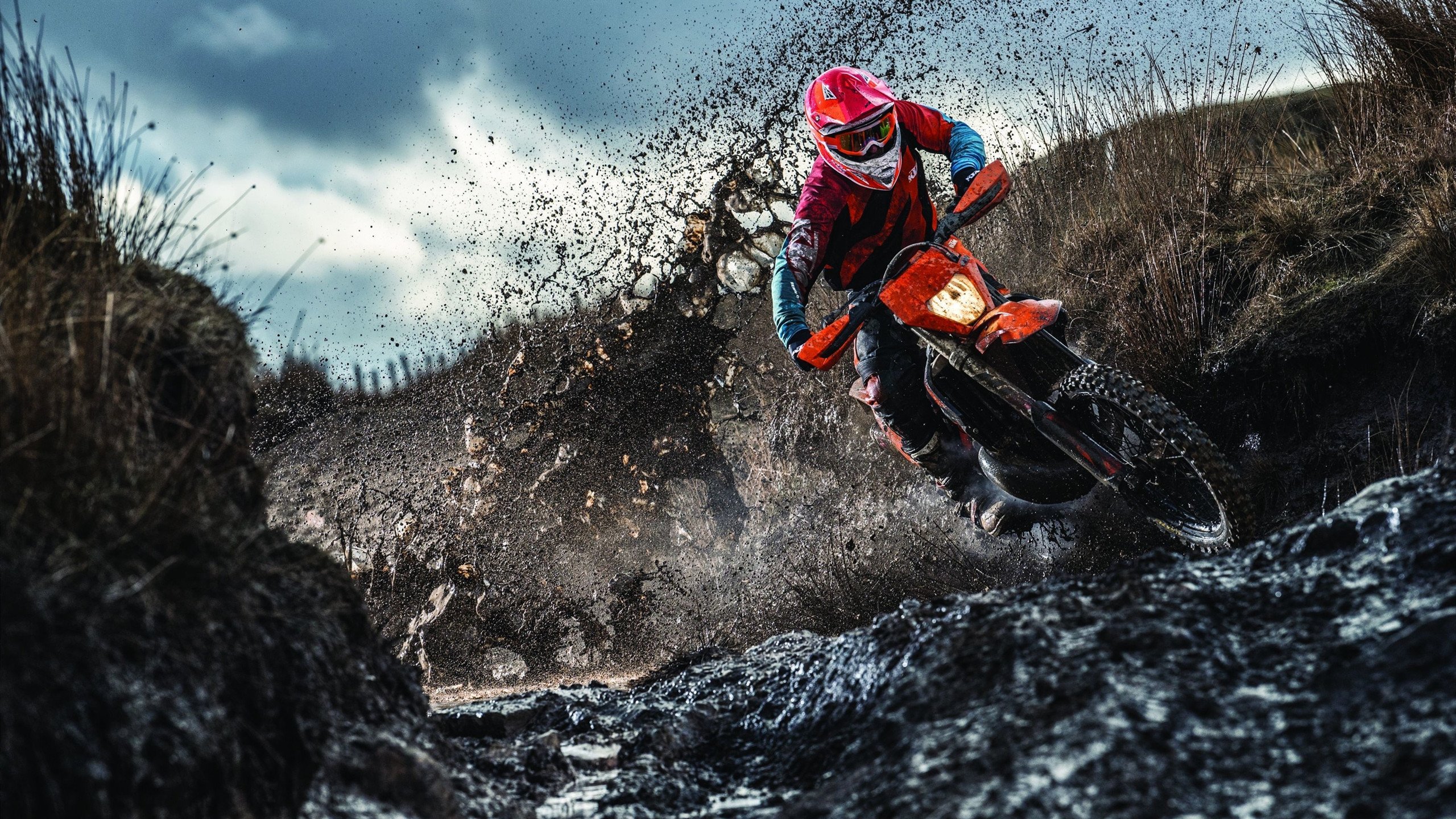 _星空下的养生瑜伽:放松心灵的运动佳选_,星空亲子瑜伽